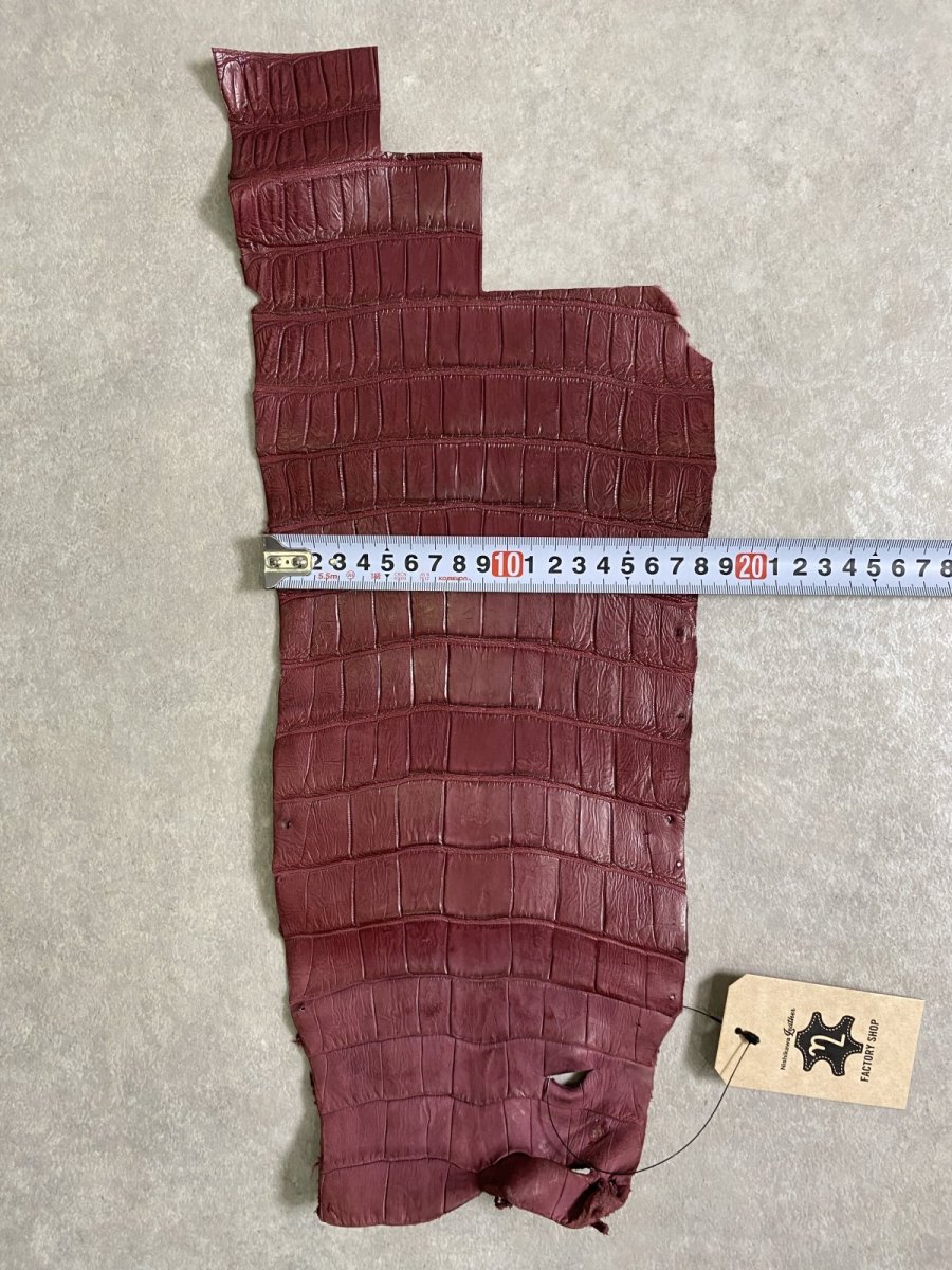 画像5: スモールクロコ（ポロサス） 尻尾　ボルドー (5)
