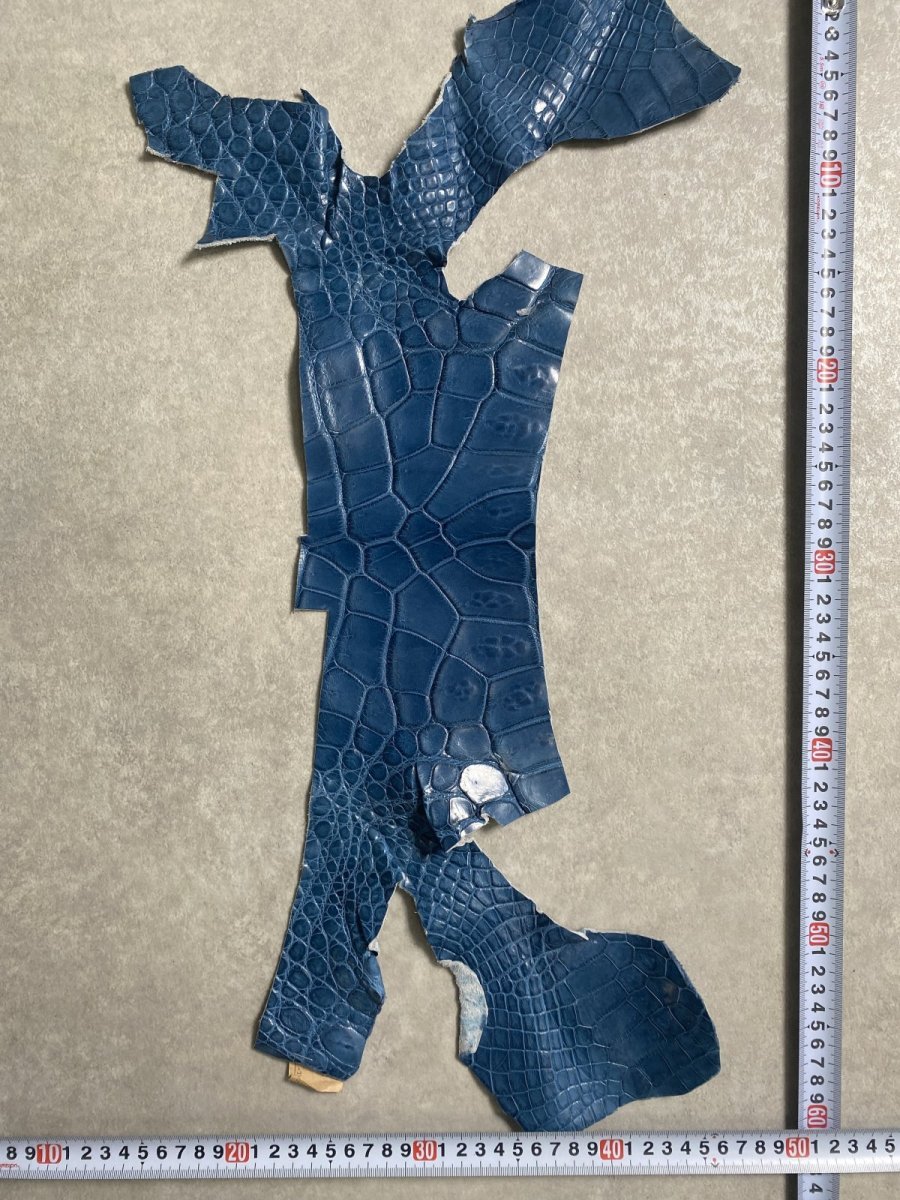 画像5: クロコダイル　ハギレ　エキゾチックレザー (5)