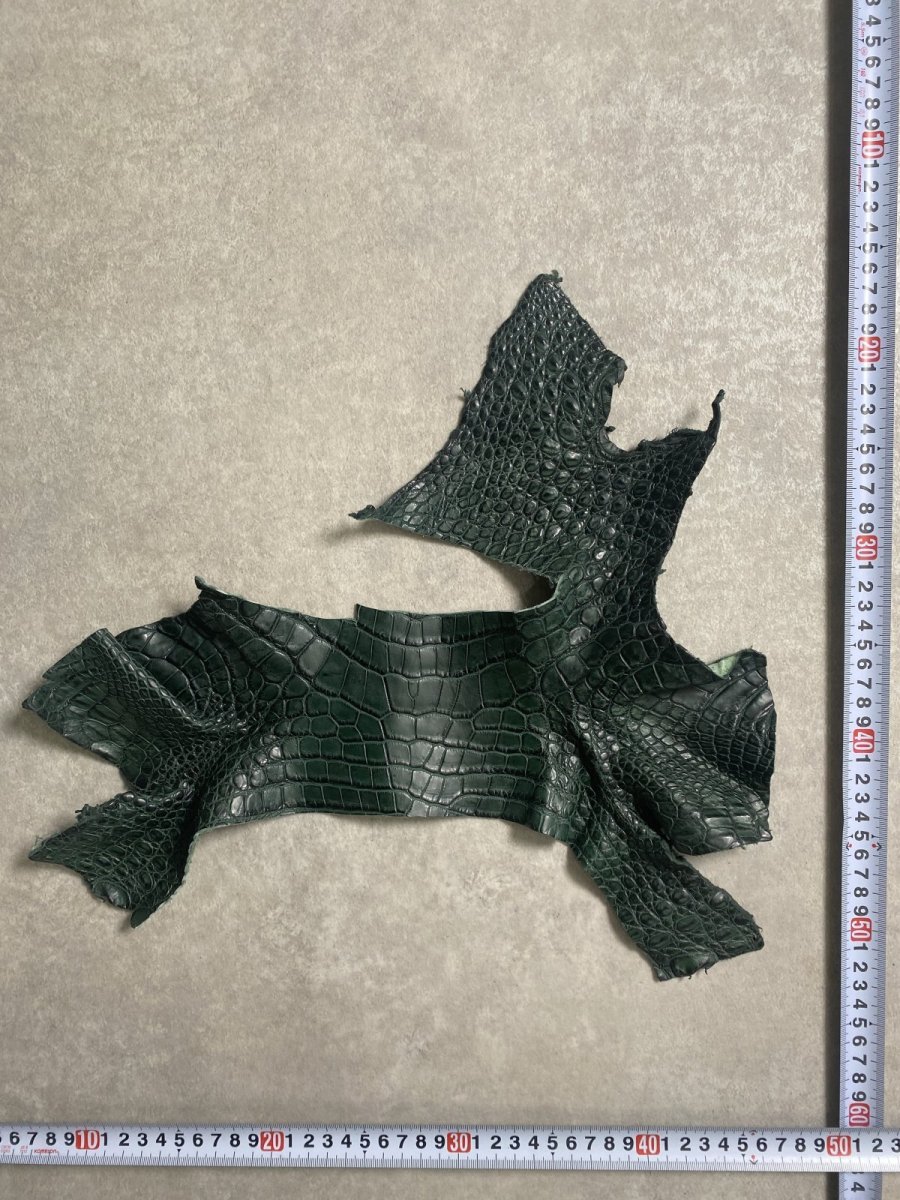 画像3: クロコダイル　ハギレ　エキゾチックレザー (3)