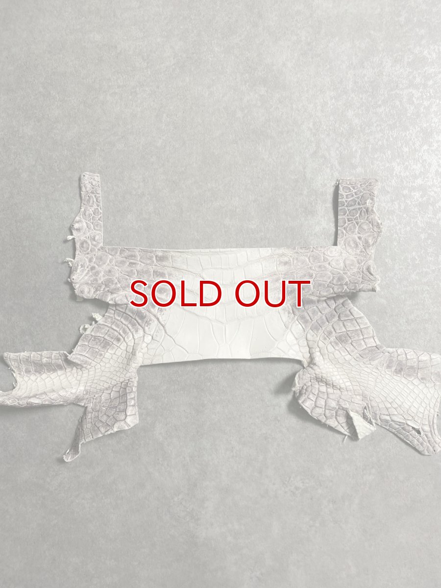 画像1: ヒマラヤクロコダイル　ハギレ　エキゾチックレザー (1)