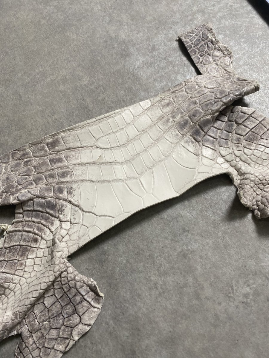画像2: ヒマラヤクロコダイル　ハギレ　エキゾチックレザー (2)