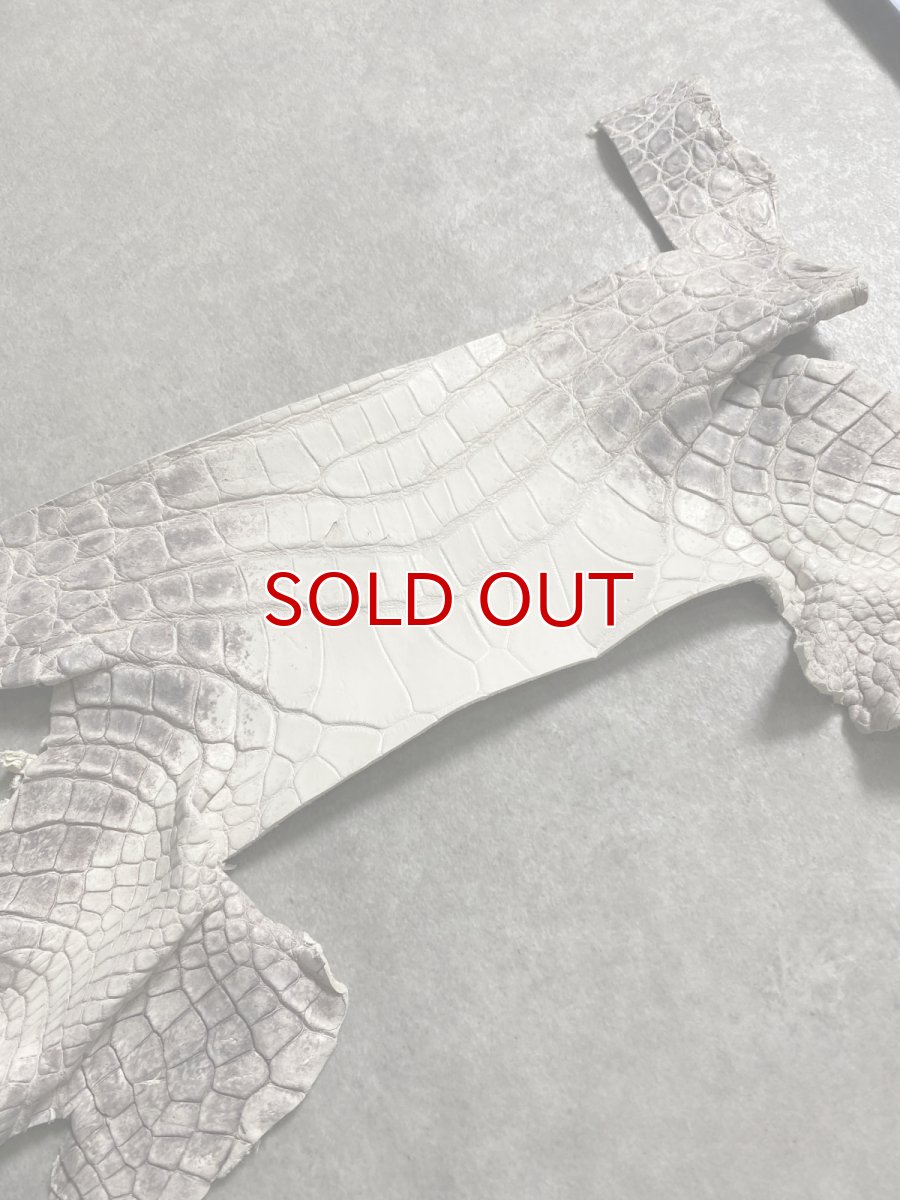 画像2: ヒマラヤクロコダイル　ハギレ　エキゾチックレザー (2)