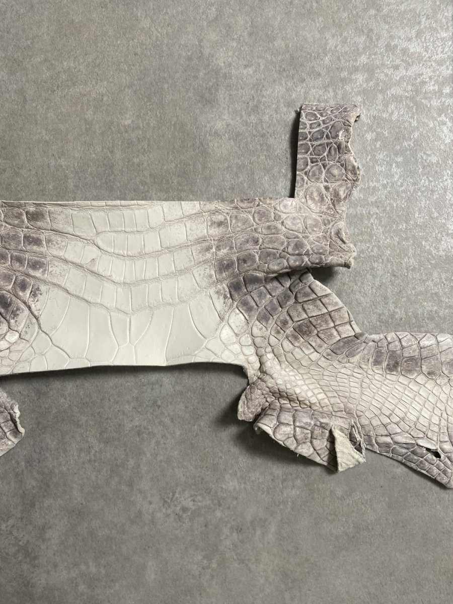 画像5: ヒマラヤクロコダイル　ハギレ　エキゾチックレザー (5)