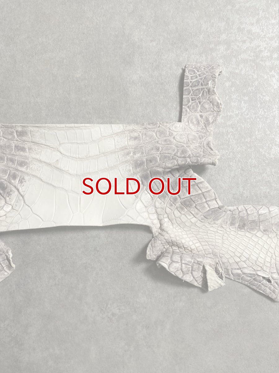 画像5: ヒマラヤクロコダイル　ハギレ　エキゾチックレザー (5)