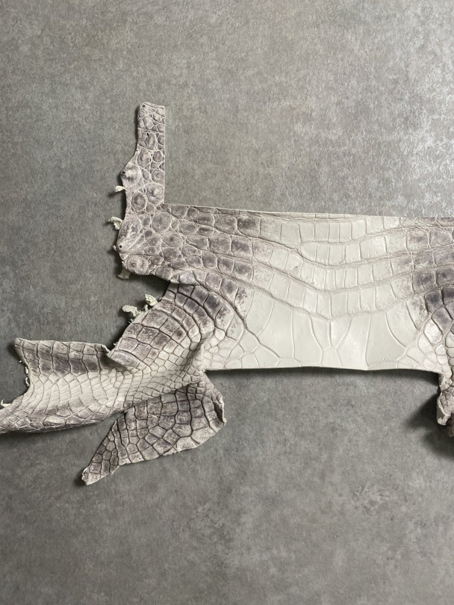 画像4: ヒマラヤクロコダイル　ハギレ　エキゾチックレザー (4)