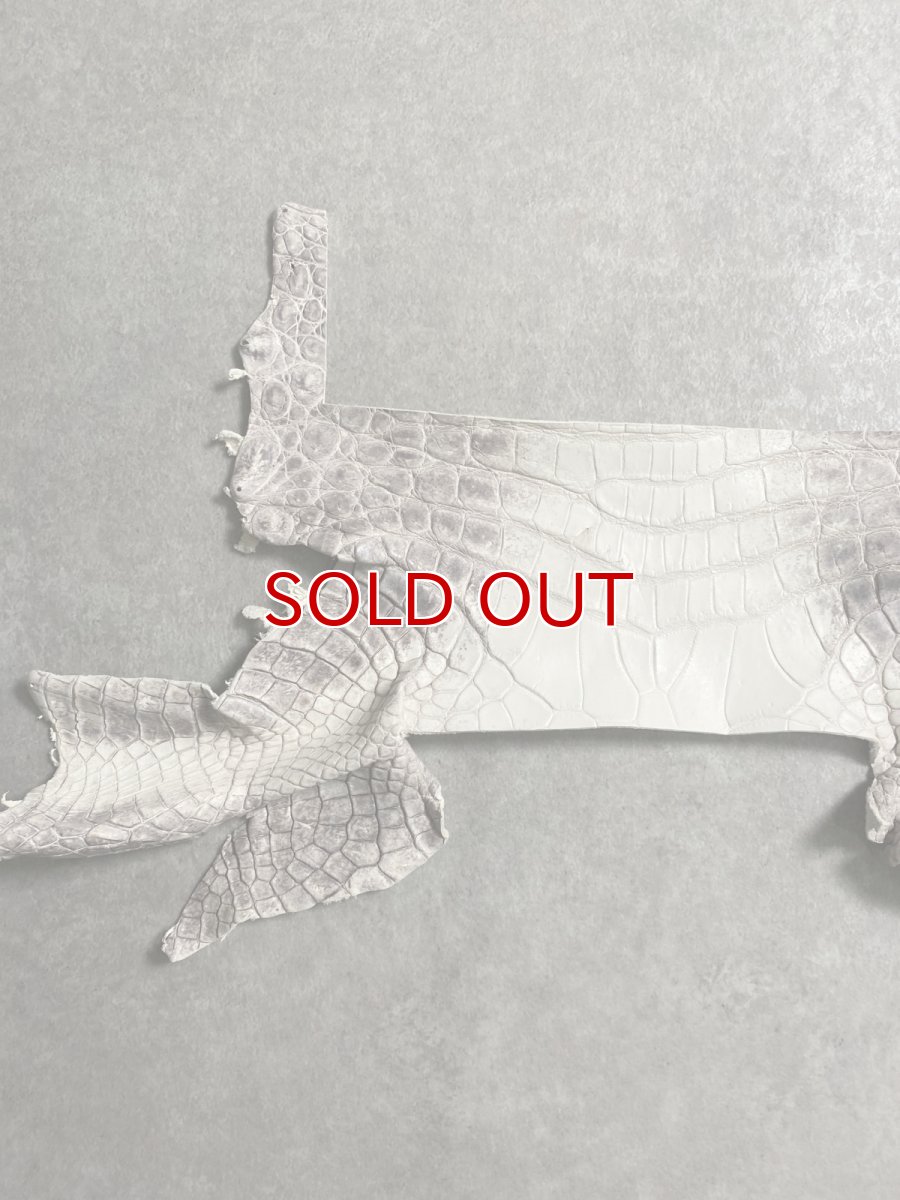 画像4: ヒマラヤクロコダイル　ハギレ　エキゾチックレザー (4)