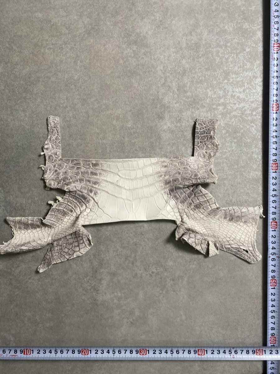 画像3: ヒマラヤクロコダイル　ハギレ　エキゾチックレザー (3)