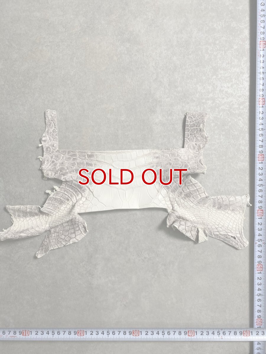 画像3: ヒマラヤクロコダイル　ハギレ　エキゾチックレザー (3)