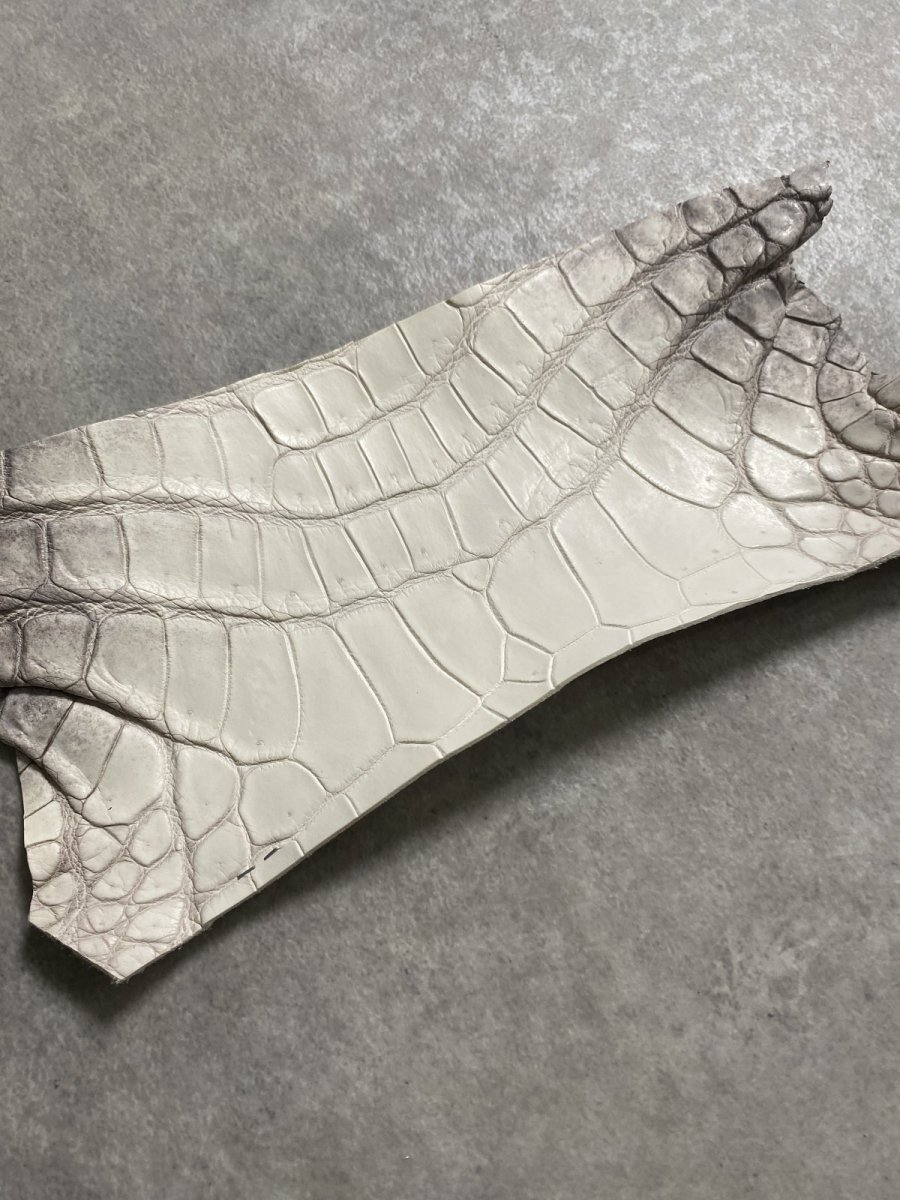 画像2: ヒマラヤクロコダイル　ハギレ　エキゾチックレザー (2)