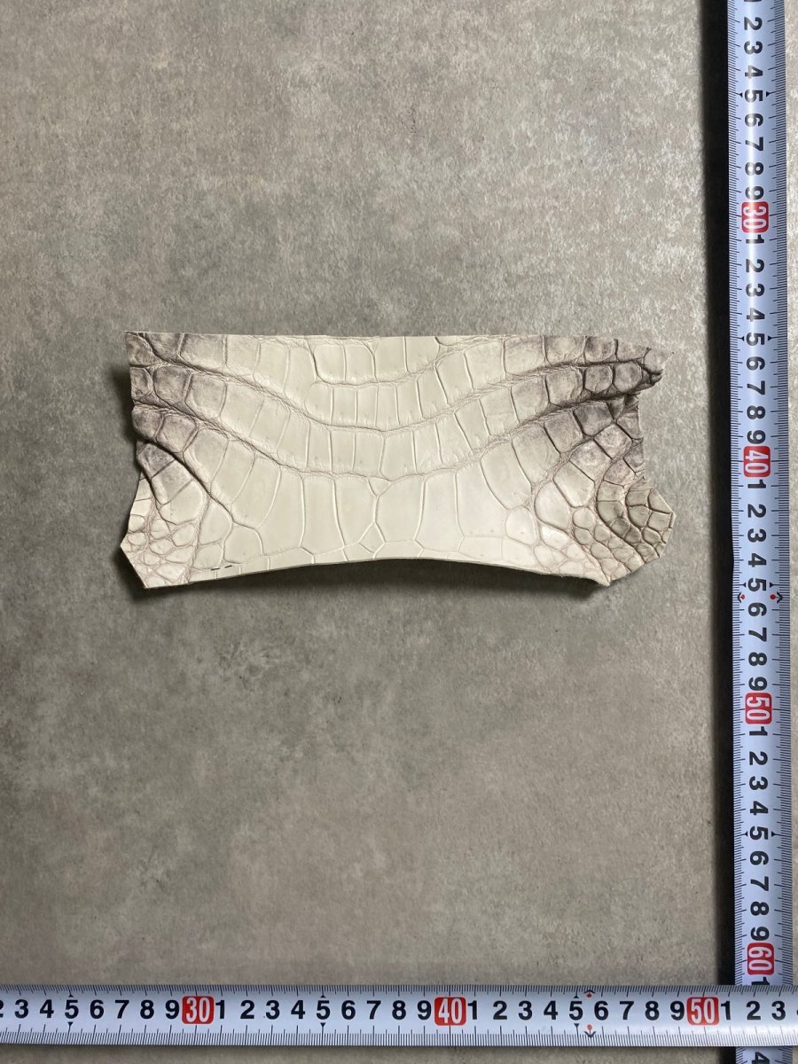 画像3: ヒマラヤクロコダイル　ハギレ　エキゾチックレザー (3)