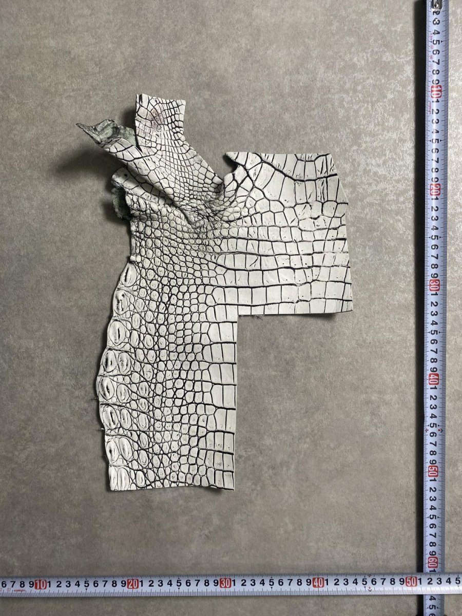 画像2: クロコダイル　ハギレ　エキゾチックレザー (2)