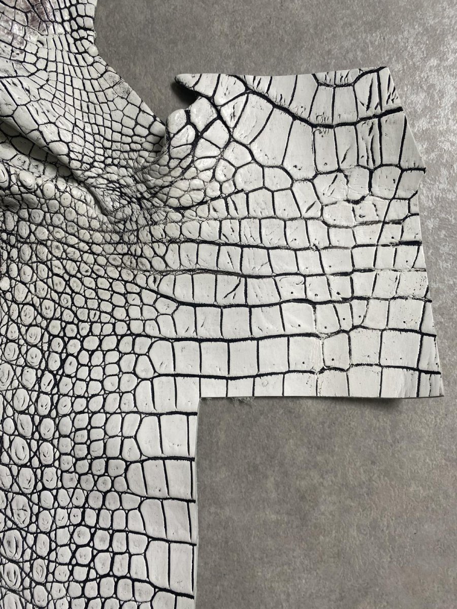 画像4: クロコダイル　ハギレ　エキゾチックレザー (4)