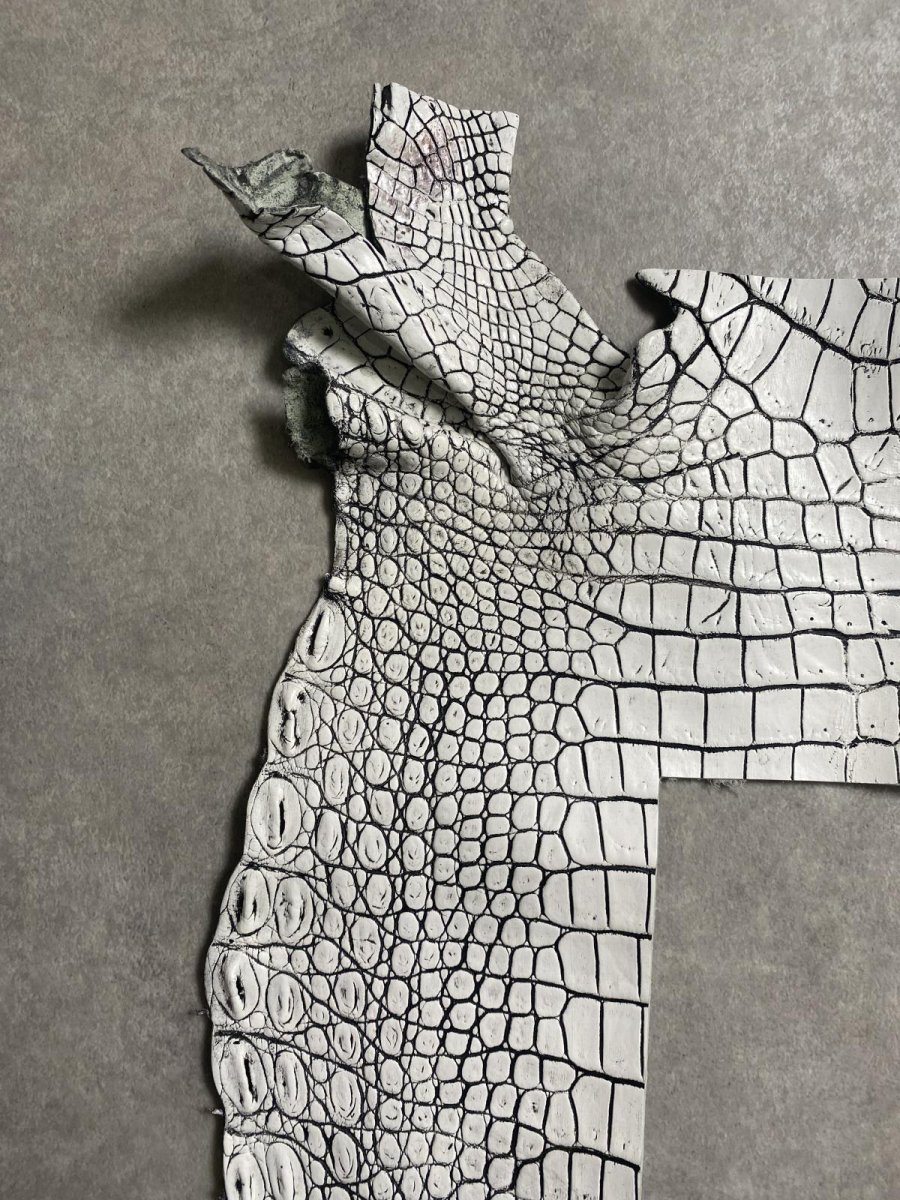 画像5: クロコダイル　ハギレ　エキゾチックレザー (5)