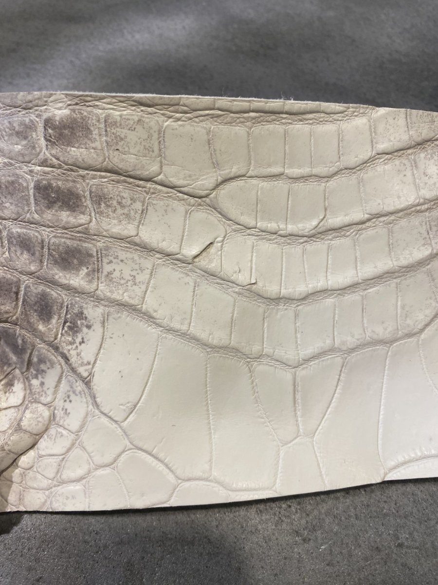 画像6: ヒマラヤクロコダイル　ハギレ　エキゾチックレザー (6)