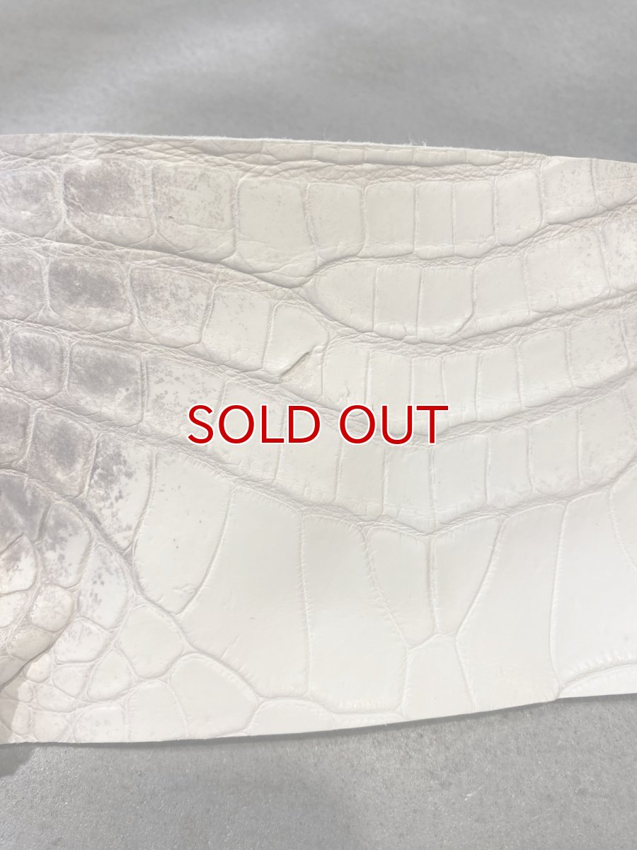 画像6: ヒマラヤクロコダイル　ハギレ　エキゾチックレザー (6)