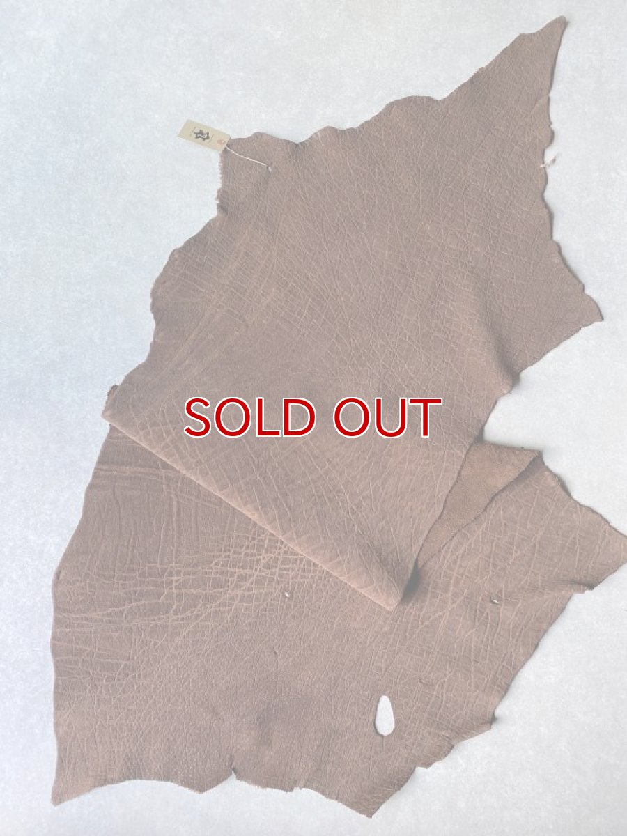 画像1: エレファントレザー　ブラウン　ゾウ革　象革　エキゾチックレザー (1)