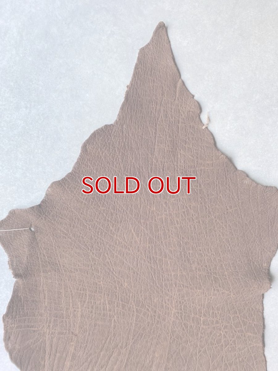 画像3: エレファントレザー　ブラウン　ゾウ革　象革　エキゾチックレザー (3)