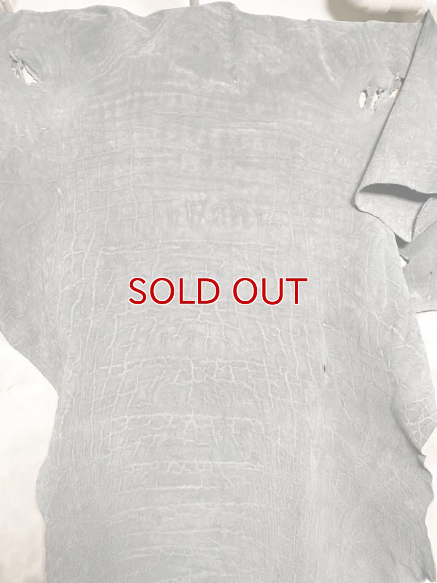 画像6: エレファントレザー 顔 グレー ゾウ革 象革 エキゾチックレザー (6)