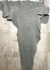 画像1: エレファントレザー　顔　グレー　ゾウ革　象革　 (1)