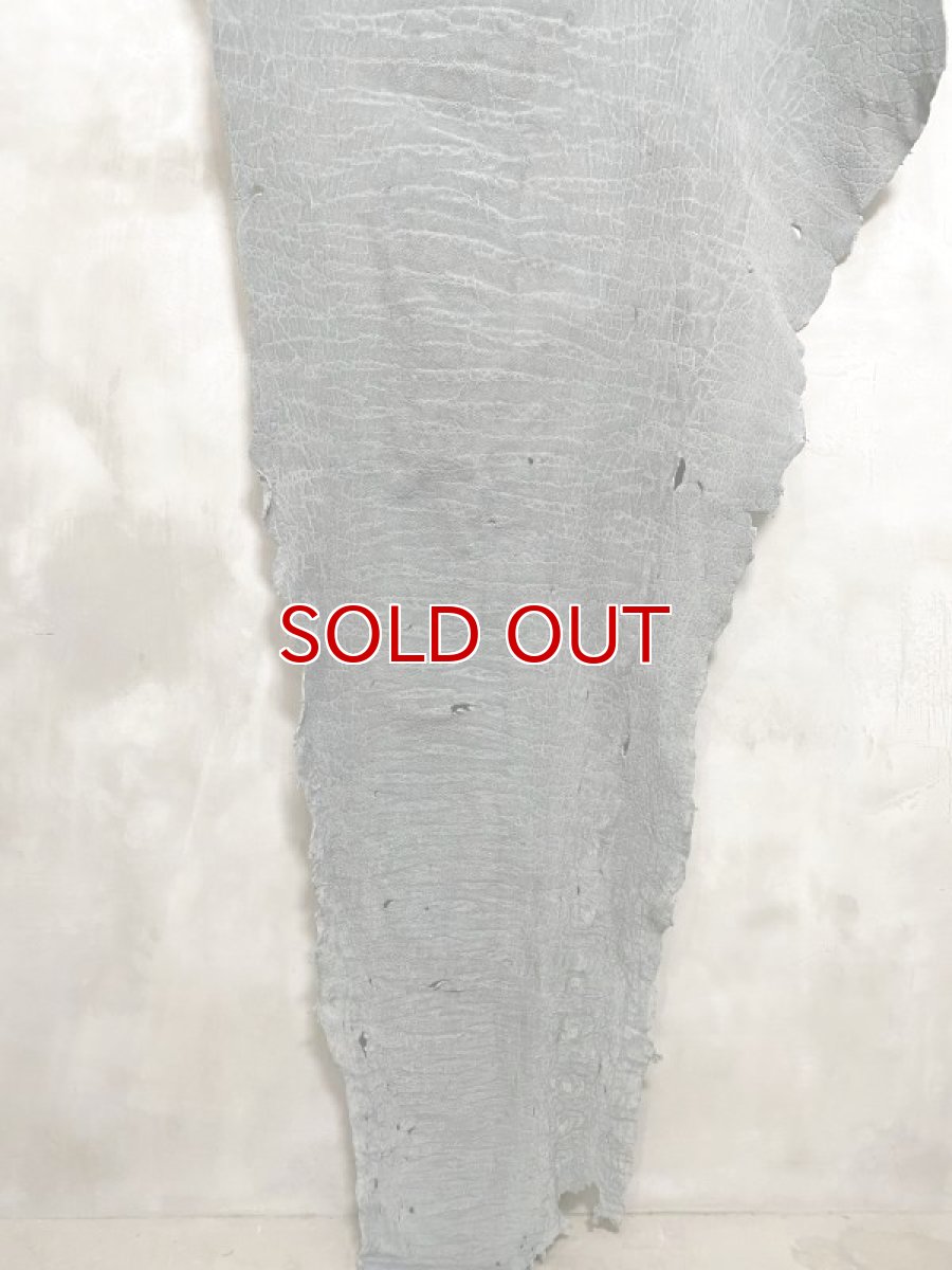 画像4: エレファントレザー 顔 グレー ゾウ革 象革 エキゾチックレザー (4)