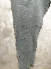 画像4: エレファントレザー　顔　グレー　ゾウ革　象革　 (4)