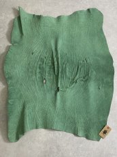画像1: エレファント　グリーン　ゾウ革　象革　エキゾチックレザー (1)