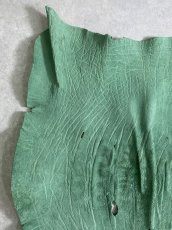 画像2: エレファント　グリーン　ゾウ革　象革　エキゾチックレザー (2)
