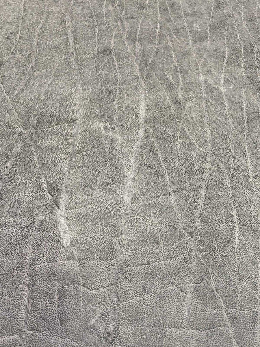 画像10: エレファントレザー　グレー　ゾウ革　象革　エキゾチックレザー (10)