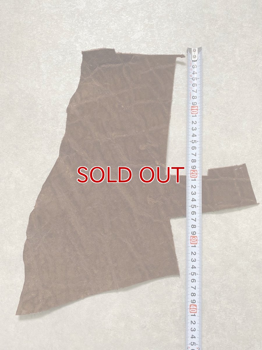 画像2: エレファントレザー　ブラウン　ゾウ革　象革　エキゾチックレザー　ハギレ (2)