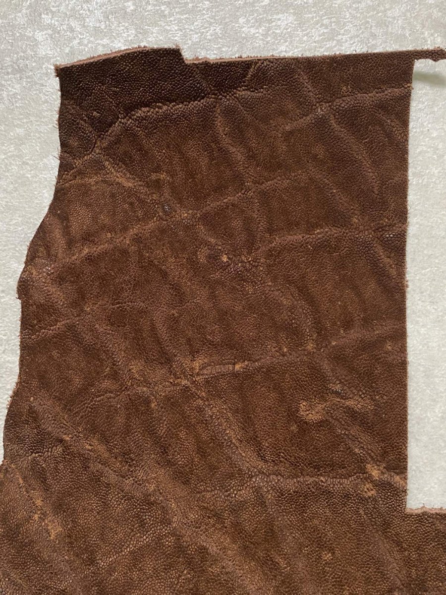 画像4: エレファントレザー　ブラウン　ゾウ革　象革　エキゾチックレザー　ハギレ (4)