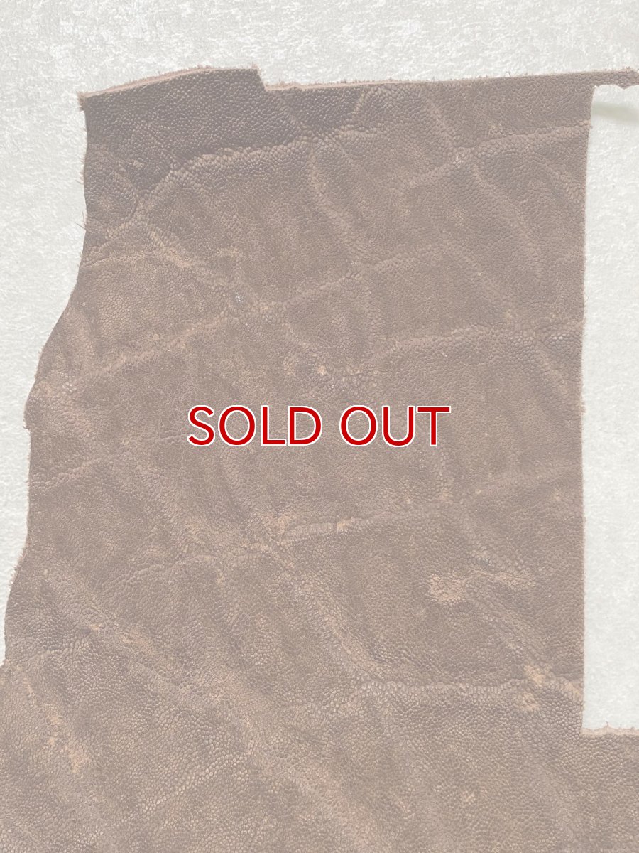 画像4: エレファントレザー　ブラウン　ゾウ革　象革　エキゾチックレザー　ハギレ (4)