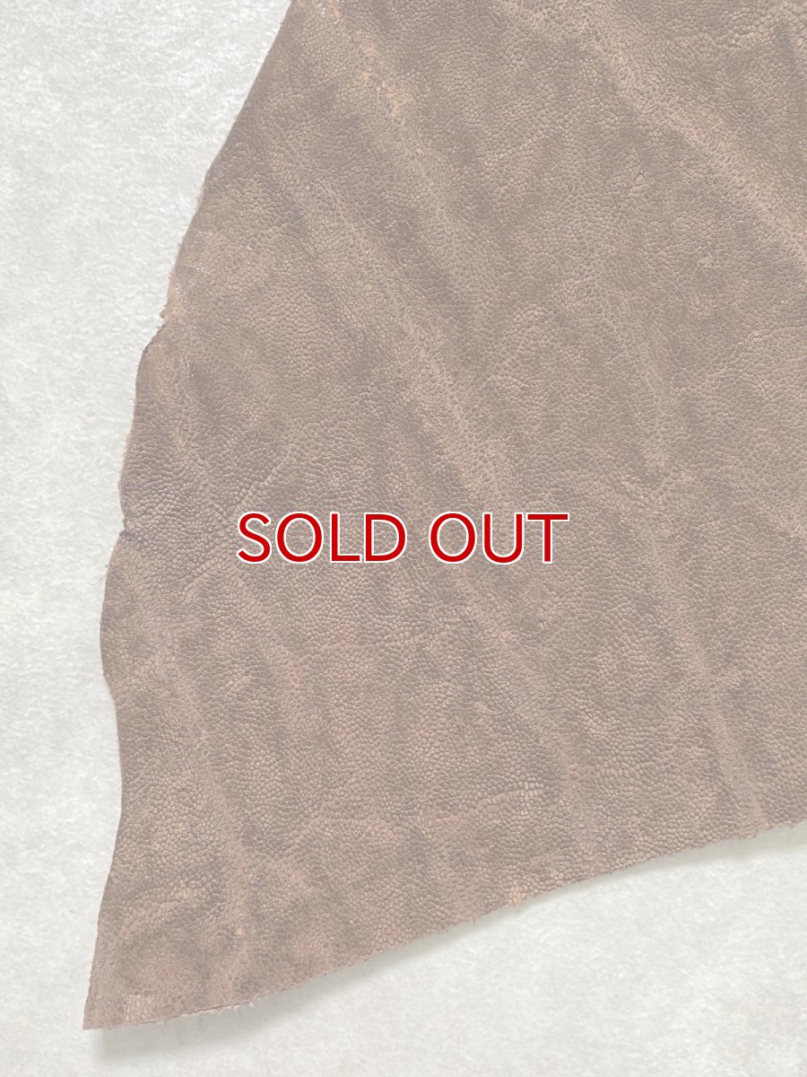 画像6: エレファントレザー　ブラウン　ゾウ革　象革　エキゾチックレザー　ハギレ (6)