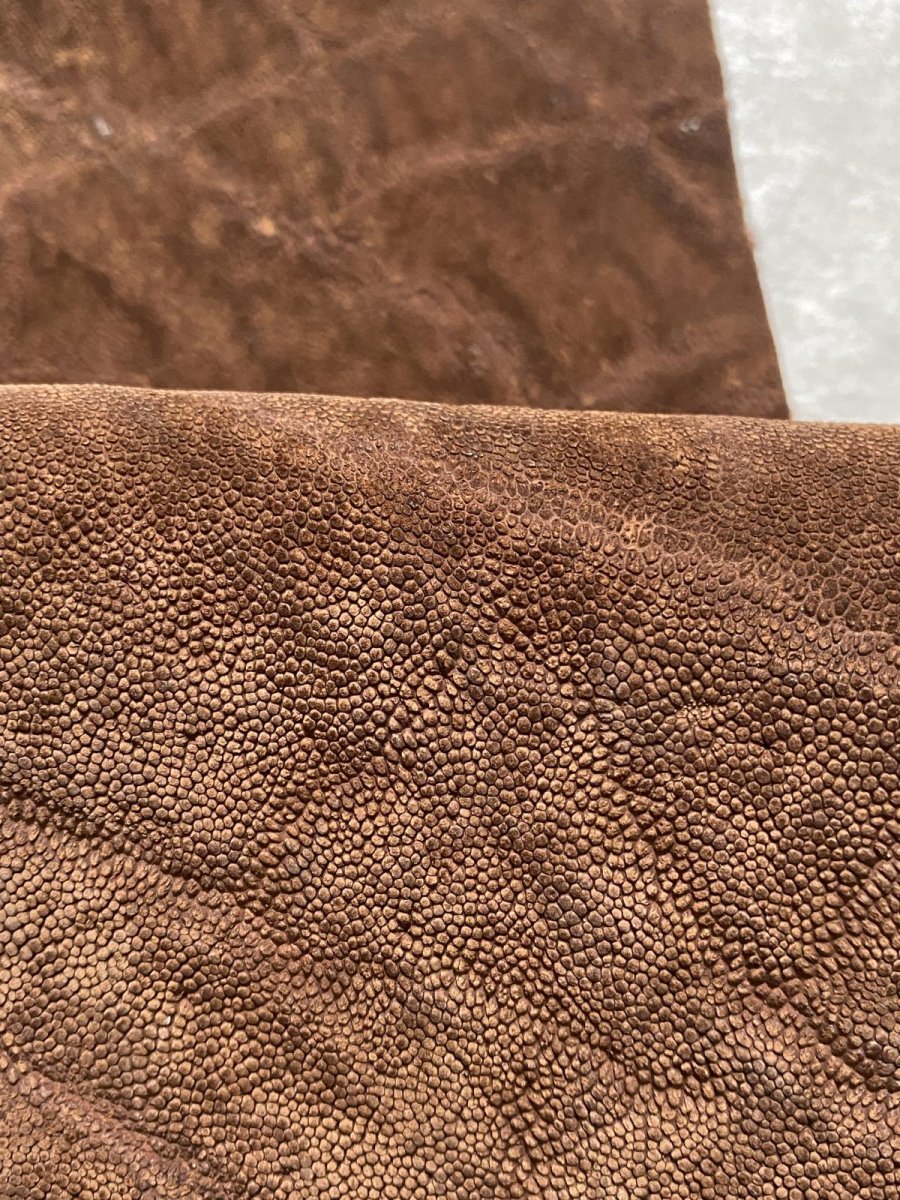 画像7: エレファントレザー　ブラウン　ゾウ革　象革　エキゾチックレザー　ハギレ (7)
