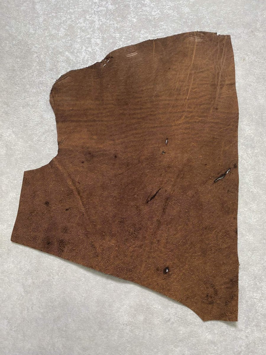 画像1: エレファントレザー　耳　ブラウン　ゾウ革　象革　エキゾチックレザー　ハギレ (1)