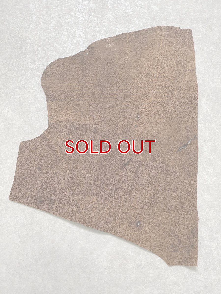 画像1: エレファントレザー　耳　ブラウン　ゾウ革　象革　エキゾチックレザー　ハギレ (1)