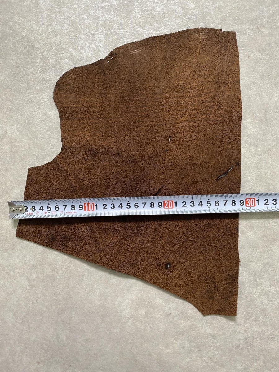 画像3: エレファントレザー　耳　ブラウン　ゾウ革　象革　エキゾチックレザー　ハギレ (3)