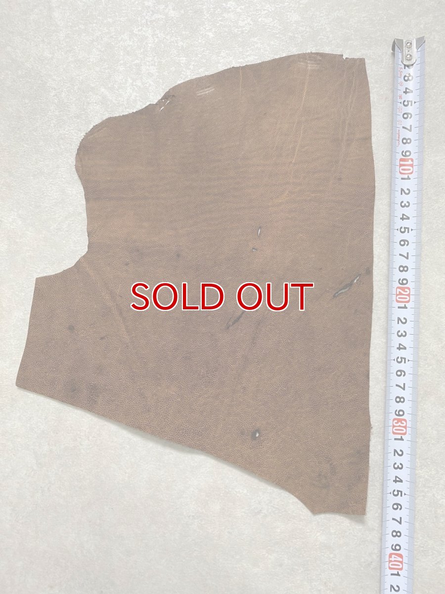 画像2: エレファントレザー　耳　ブラウン　ゾウ革　象革　エキゾチックレザー　ハギレ (2)