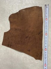 画像2: エレファントレザー　耳　ブラウン　ゾウ革　象革　エキゾチックレザー　ハギレ (2)
