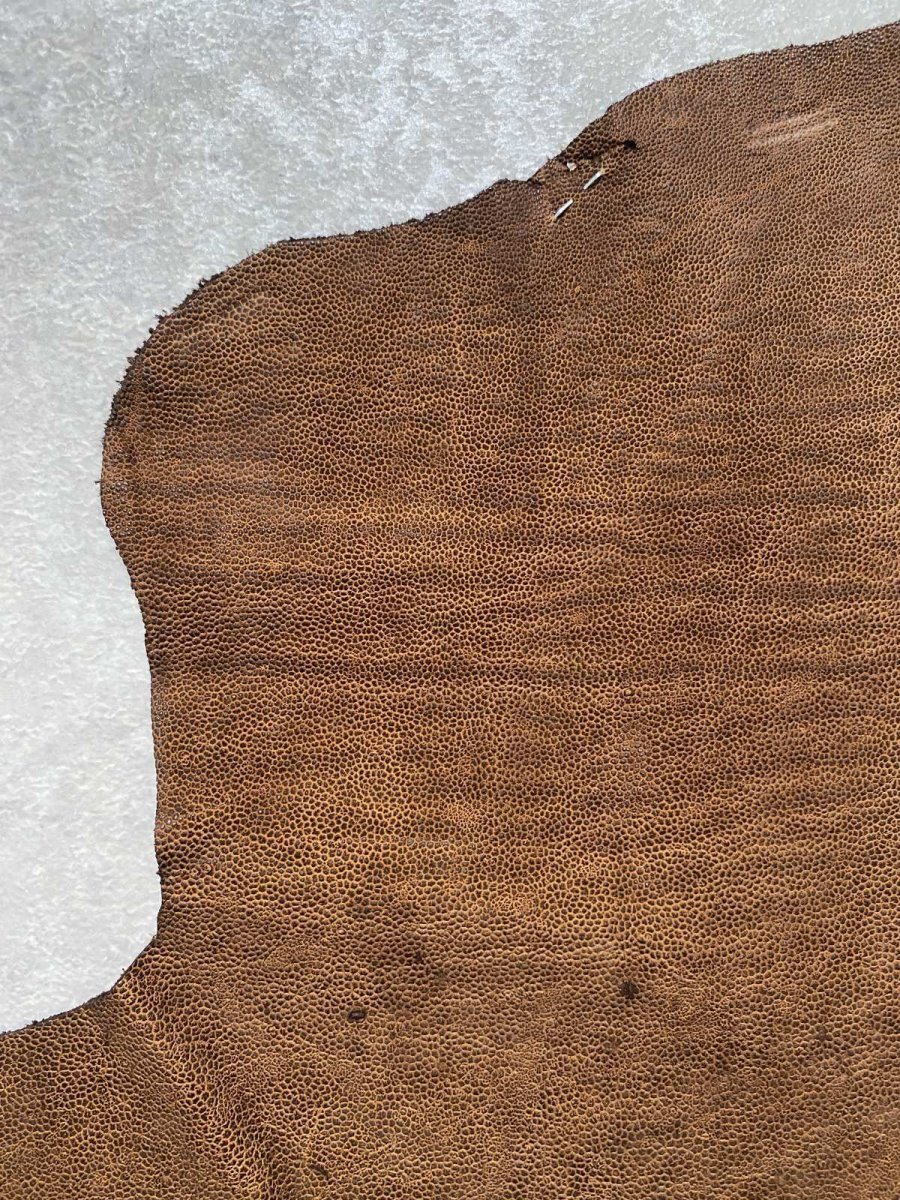 画像4: エレファントレザー　耳　ブラウン　ゾウ革　象革　エキゾチックレザー　ハギレ (4)