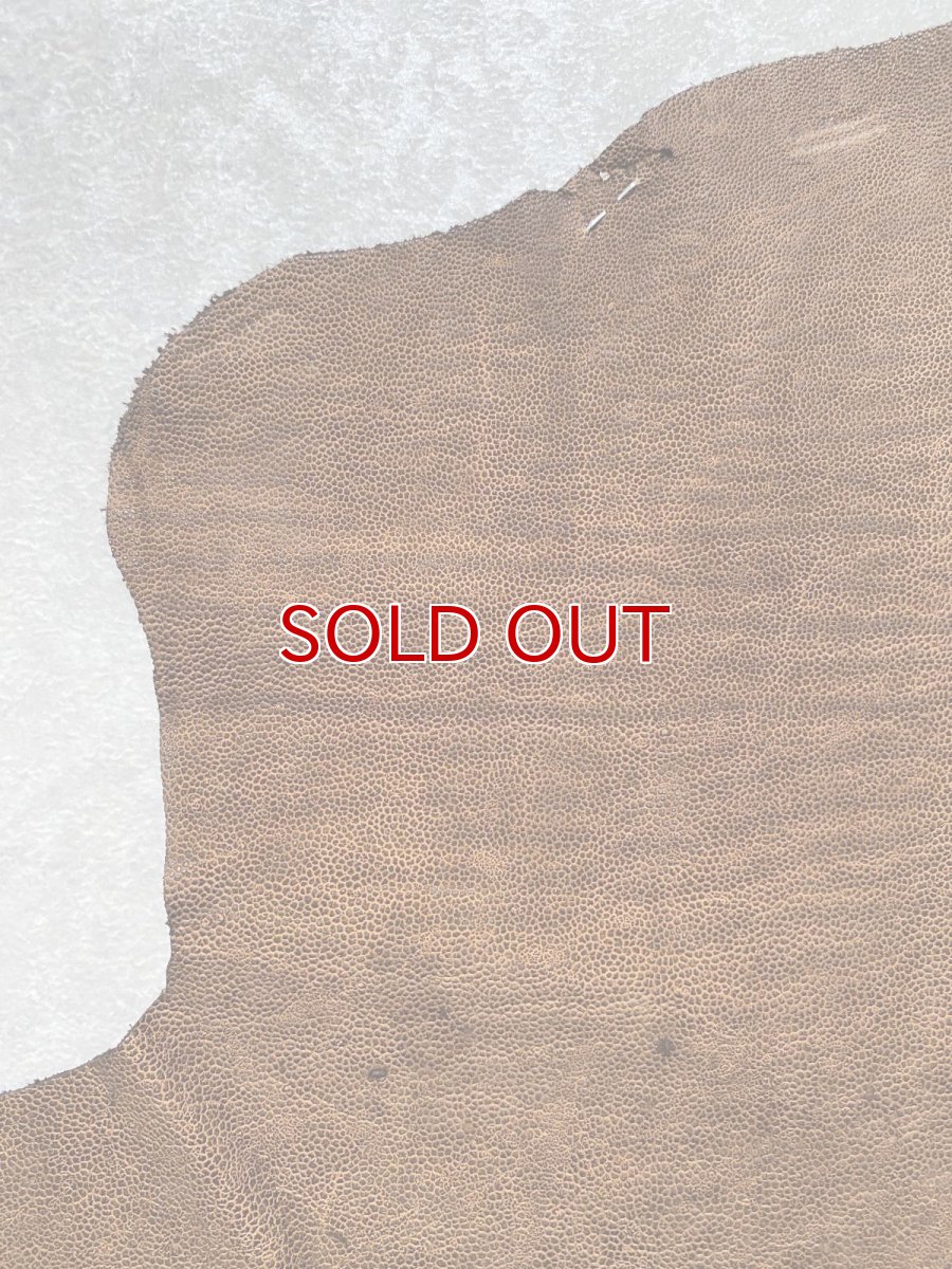 画像4: エレファントレザー　耳　ブラウン　ゾウ革　象革　エキゾチックレザー　ハギレ (4)