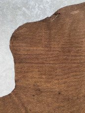 画像4: エレファントレザー　耳　ブラウン　ゾウ革　象革　エキゾチックレザー　ハギレ (4)