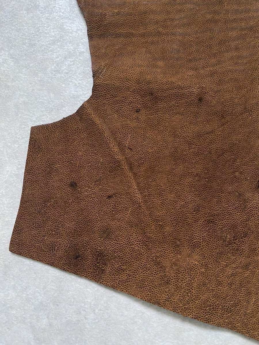 画像6: エレファントレザー　耳　ブラウン　ゾウ革　象革　エキゾチックレザー　ハギレ (6)