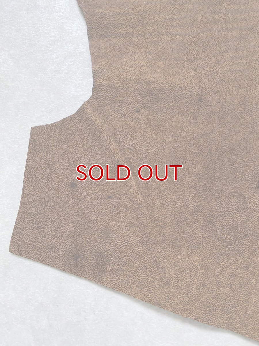 画像6: エレファントレザー　耳　ブラウン　ゾウ革　象革　エキゾチックレザー　ハギレ (6)