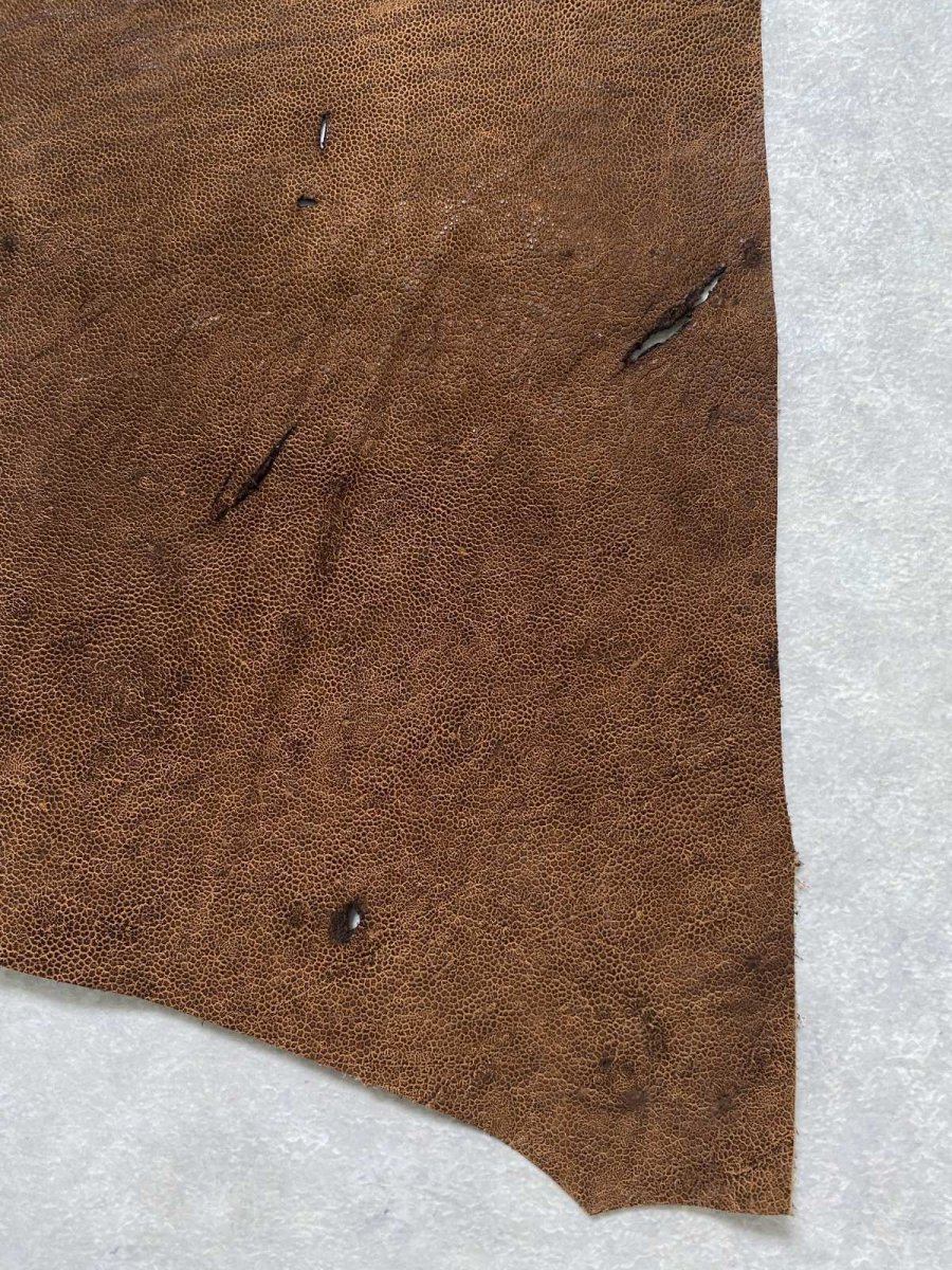 画像7: エレファントレザー　耳　ブラウン　ゾウ革　象革　エキゾチックレザー　ハギレ (7)