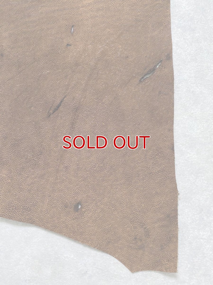 画像7: エレファントレザー　耳　ブラウン　ゾウ革　象革　エキゾチックレザー　ハギレ (7)