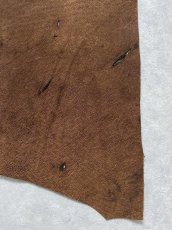 画像7: エレファントレザー　耳　ブラウン　ゾウ革　象革　エキゾチックレザー　ハギレ (7)