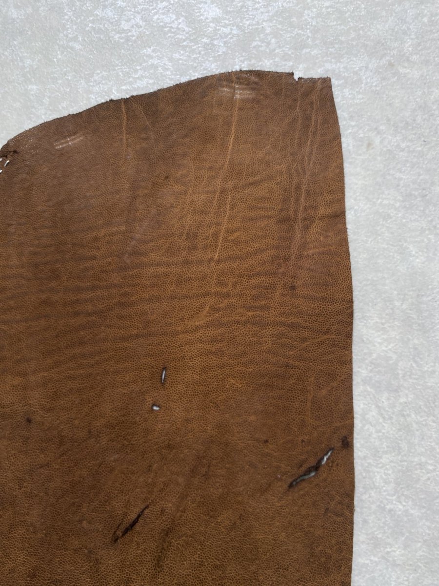 画像5: エレファントレザー　耳　ブラウン　ゾウ革　象革　エキゾチックレザー　ハギレ (5)