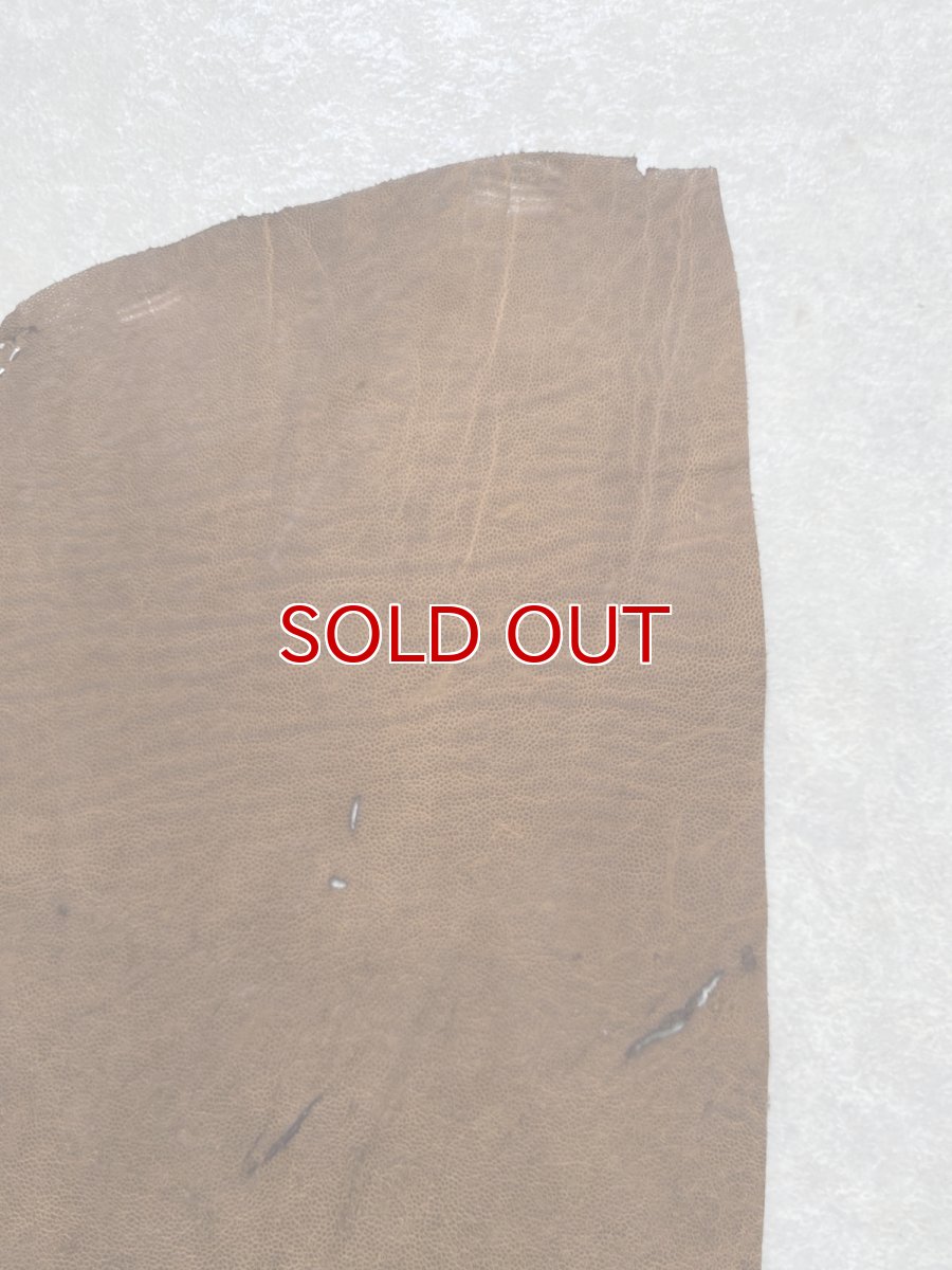 画像5: エレファントレザー　耳　ブラウン　ゾウ革　象革　エキゾチックレザー　ハギレ (5)