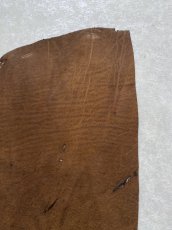 画像5: エレファントレザー　耳　ブラウン　ゾウ革　象革　エキゾチックレザー　ハギレ (5)