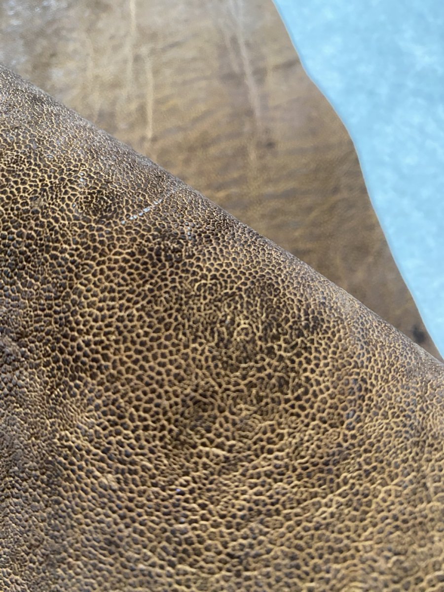 画像8: エレファントレザー　耳　ブラウン　ゾウ革　象革　エキゾチックレザー　ハギレ (8)